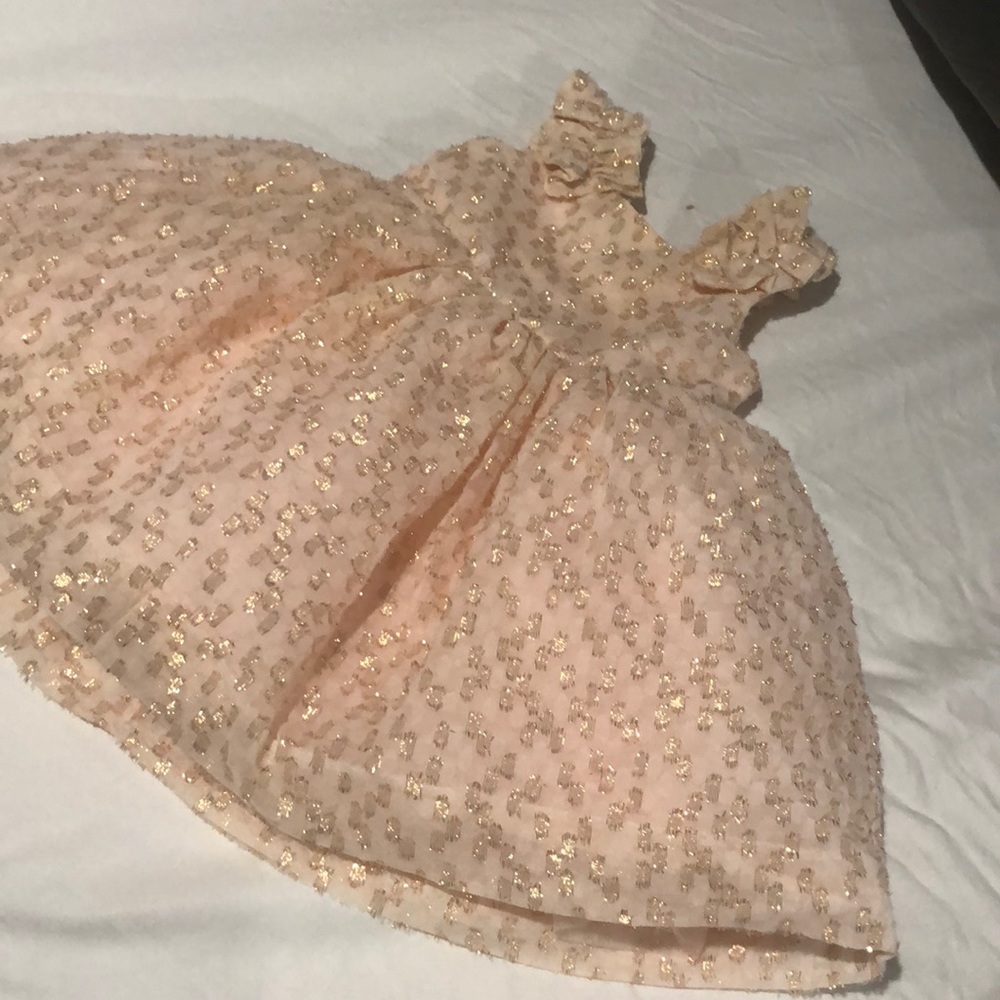 Beautiful Janie and Jack formal/Easter dress